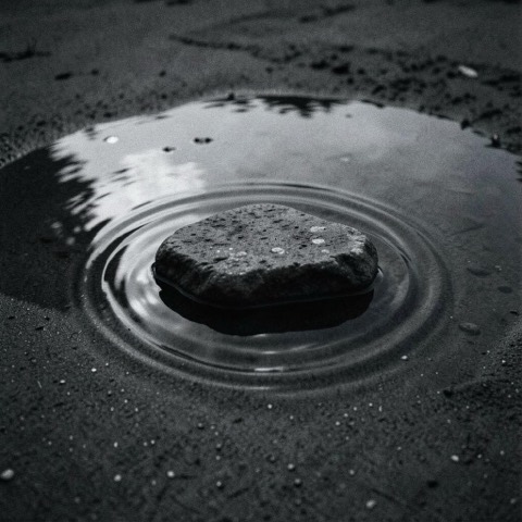 Cover von Into the Dark